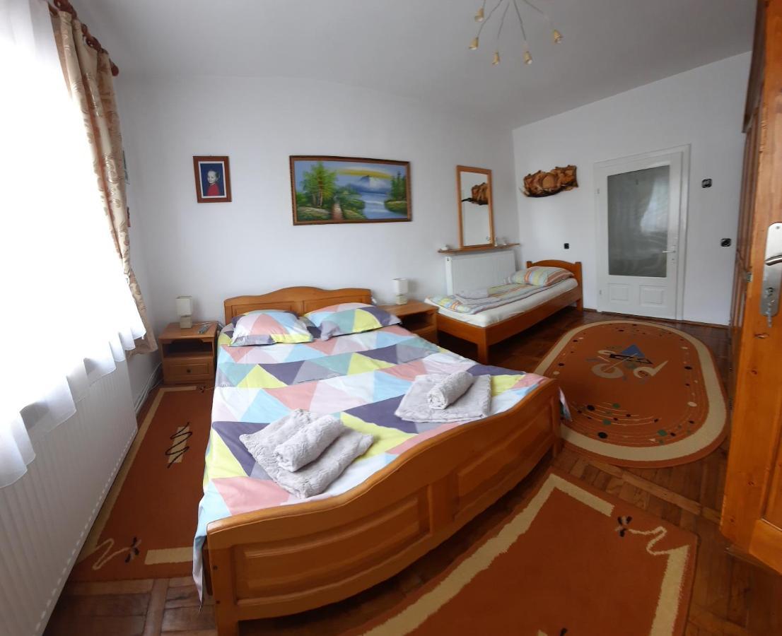 Casa Melinda Leilighet Vişeu de Sus Eksteriør bilde