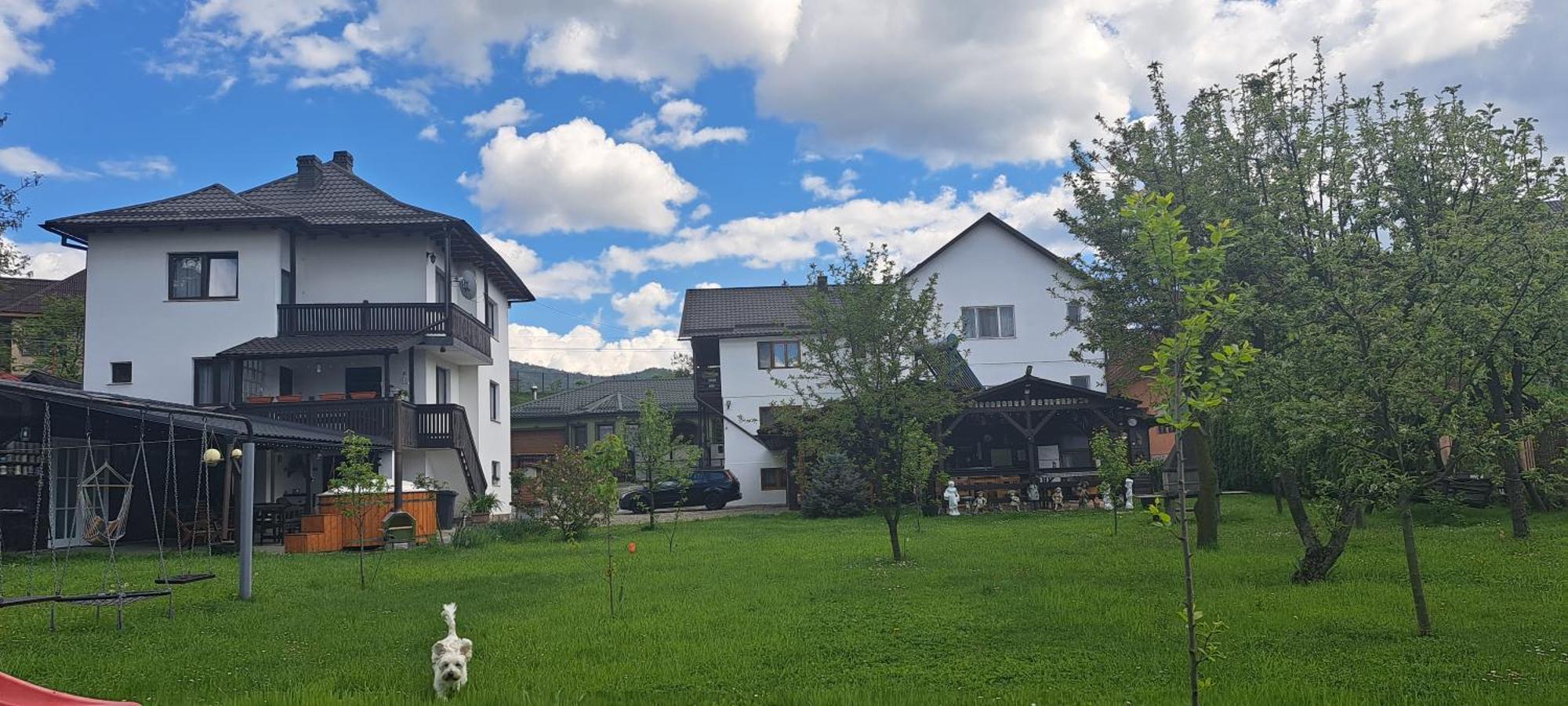 Casa Melinda Leilighet Vişeu de Sus Eksteriør bilde