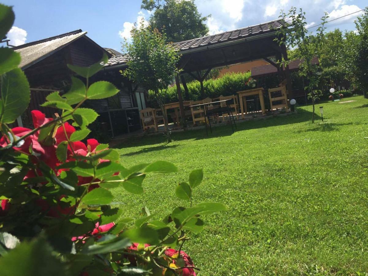 Casa Melinda Leilighet Vişeu de Sus Eksteriør bilde